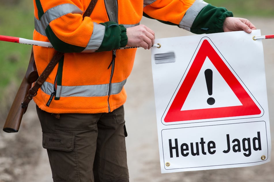 Vorsicht beim Waldspaziergang in Thüringen: Lebensgefahr droht!