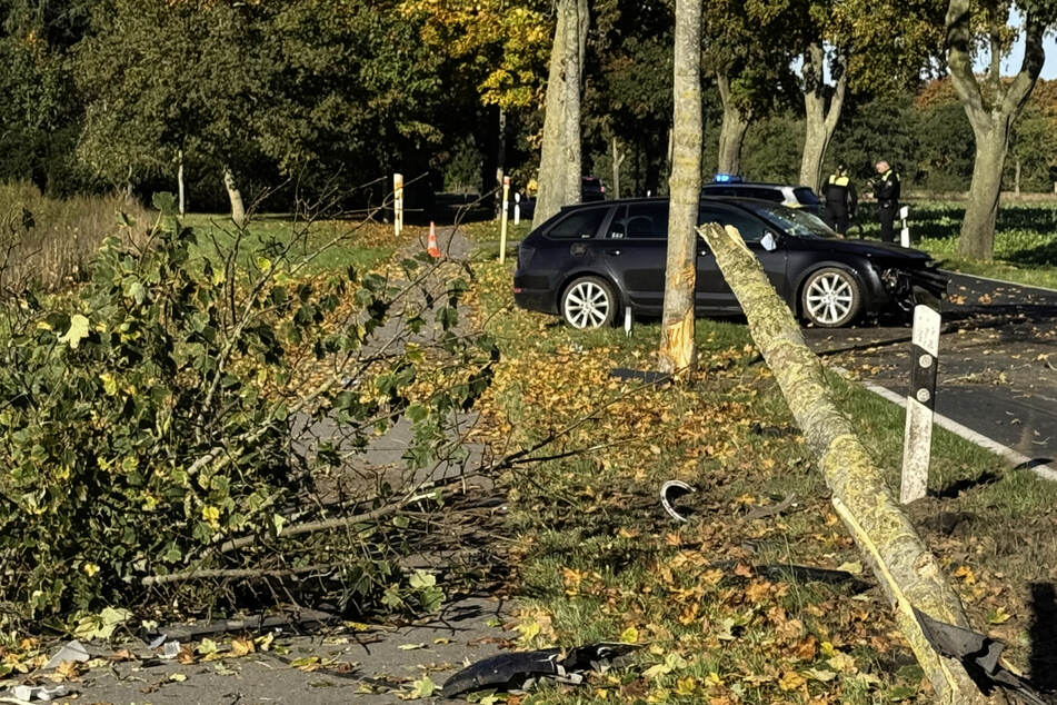 Auto mäht Baum nieder: Fahrer lebensgefährlich verletzt
