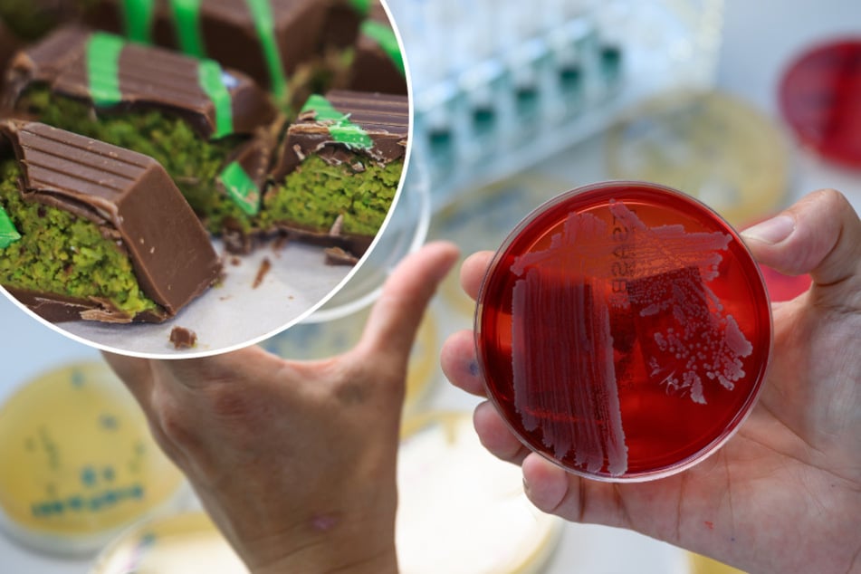 Blei im Zimt und Glycerin im Slush-Eis: Mehr als jede siebte Lebensmittelprobe weist Mängel auf