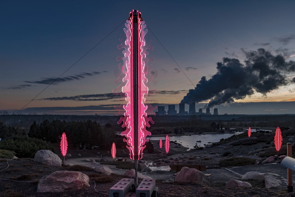 Viele verschiedene Lichtdesigns verwandeln den Park in ein Abenteuer im Dunklen.