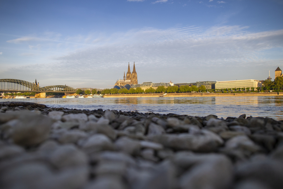 Abkühlung kann am Wochenende am Rheinufer gefunden werden - aber bitte nicht darin schwimmen!