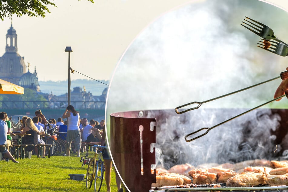 Dresden: Saftiges Bußgeld droht: Wo Grillen jetzt richtig teuer wird