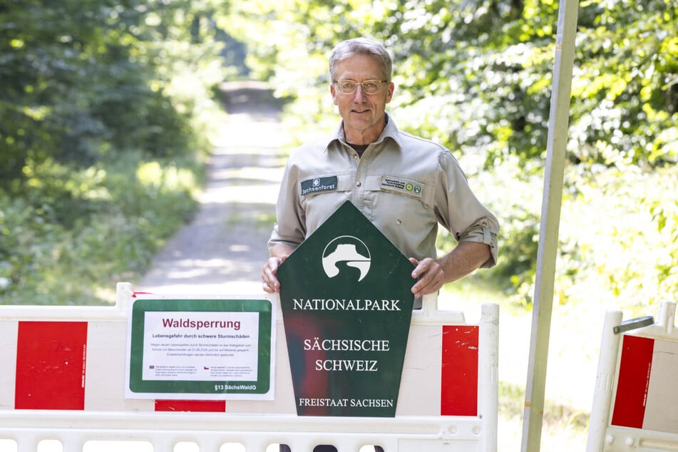 Nationalpark-Sprecher Hanspeter Mayr (63) erwartet nach den Aufräumarbeiten einen Mischwald.