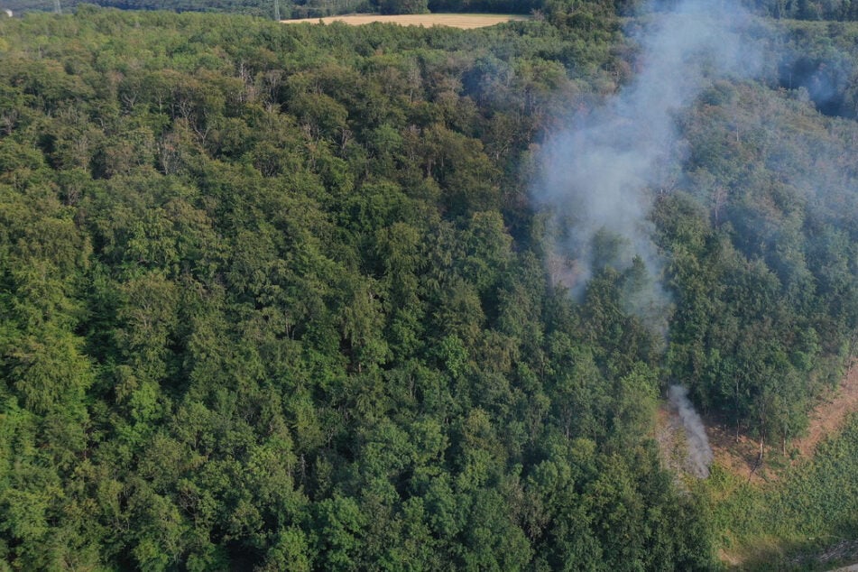 Waldbrand im Landkreis Nordhausen: Mehrere Feuerwehren im Einsatz