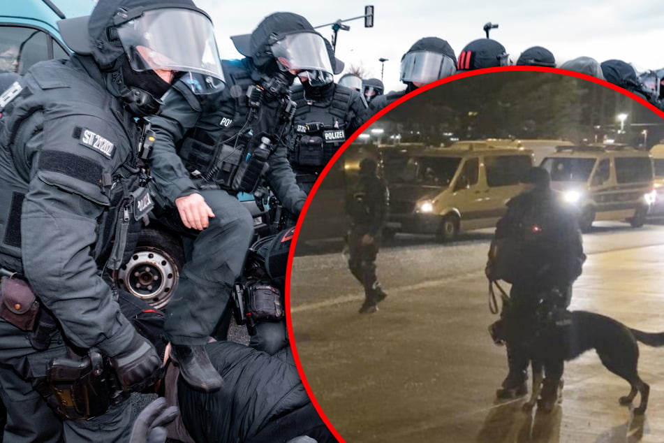 Umstrittene Hundeattacke auf Demonstrantin: Ermittlungen gegen Polizisten fallen gelassen