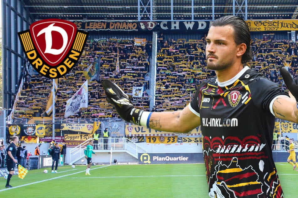 Schwarz-gelbe Invasion in Münster? Support für Dynamo "einmalig in Deutschland"