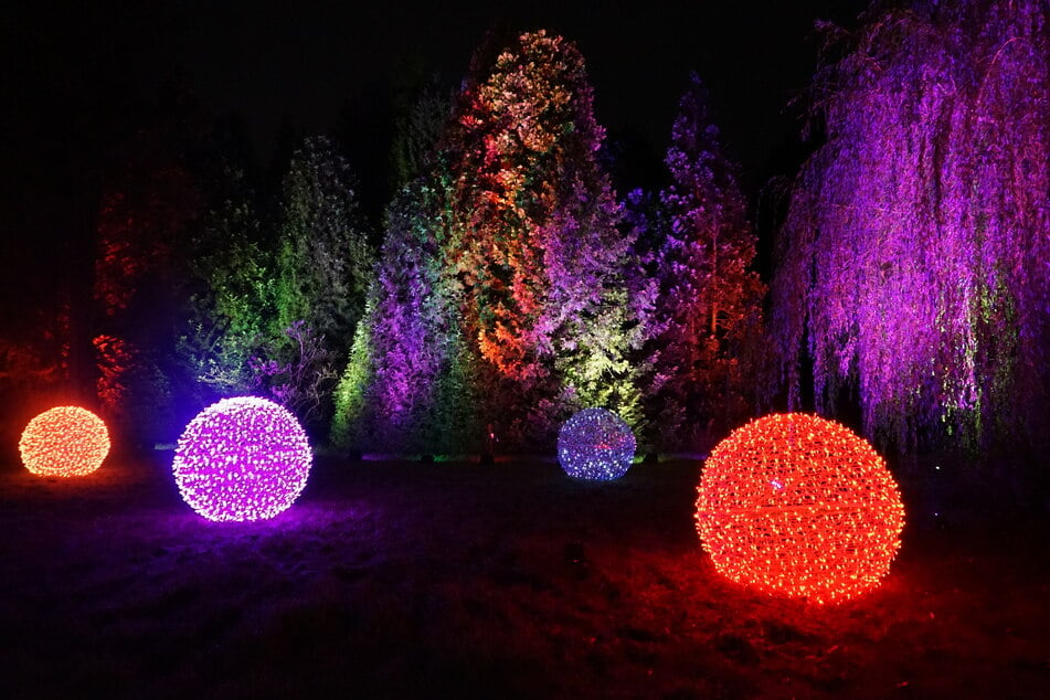 Diese Leuchtkugeln im "Christmas Garden Hamburg" können per Buzzer von den Besuchenden gesteuert werden.