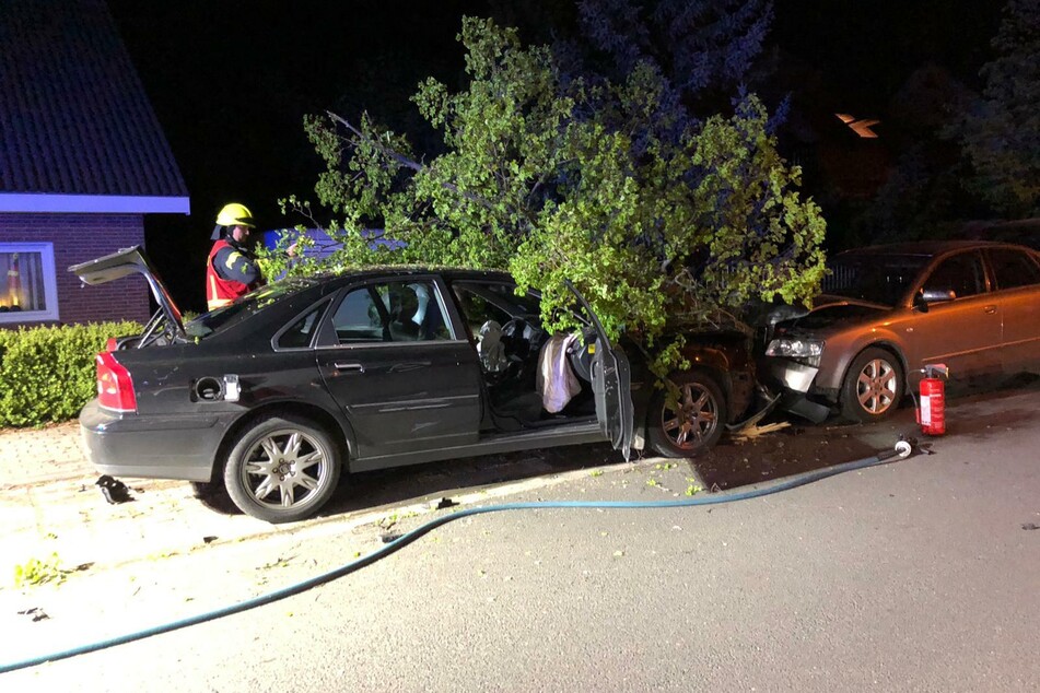 Im Suff: Mann mäht Bäume nieder und crasht drei Autos