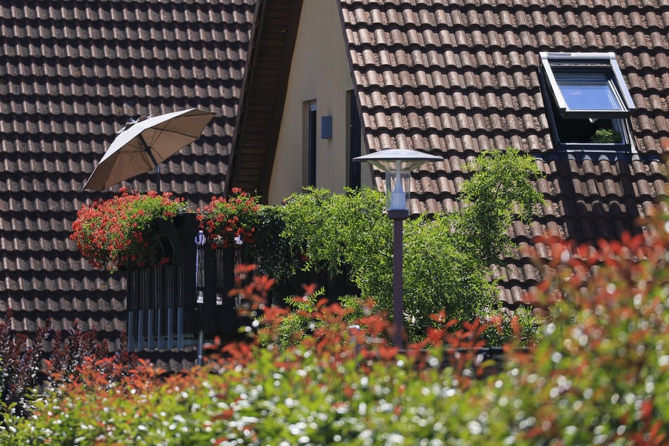 Auf Balkonien blüht es in Sachsen prächtig. (Symbolbild)