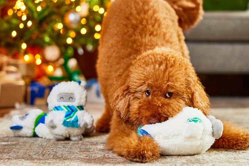 Once your pet gets these Chewy plushies, they're never letting go