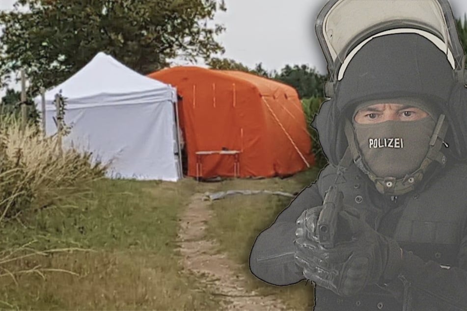 Aktenzeichen XY: Stark verwest und halb eingebuddelt: Sylvia nur durch Zahn-Implantate identifiziert