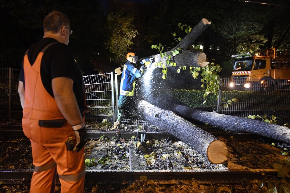Heftige Unwetter über Bonn: Frau eingeschlossen, Baum auf Bahngleisen