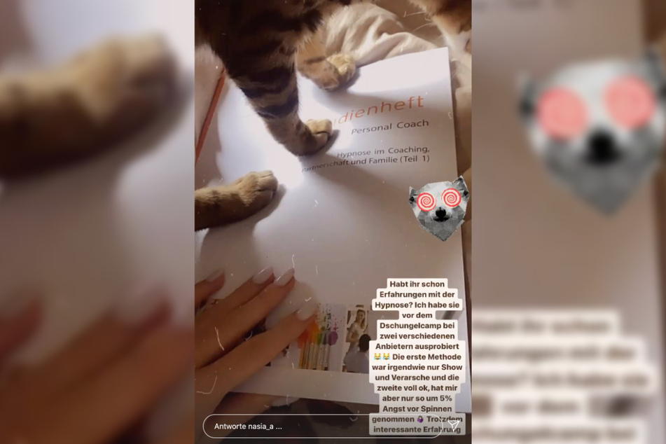 In einer Instagram-Story verriet Anastasiya Avilova (32) am Sonntag einen Trick, mit dem sie sich auf das "Dschungelcamp" 2020 vorbereitete.