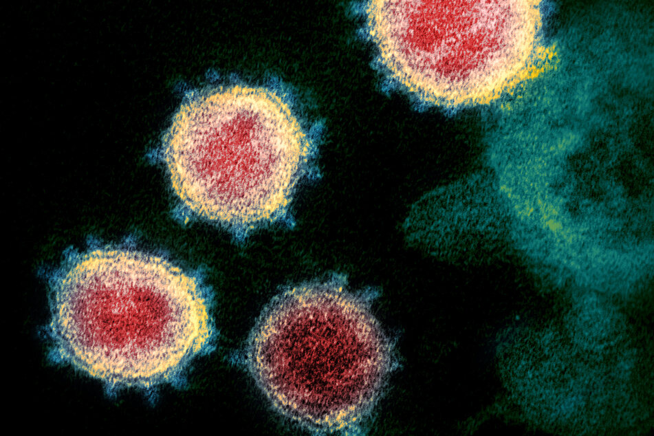 Das Coronavirus unter einem Elektronenmikroskop.