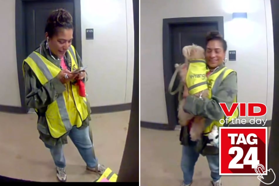 This trash pickup lady's dog was gifted her own safety vest – and the internet cannot handle the cuteness!
