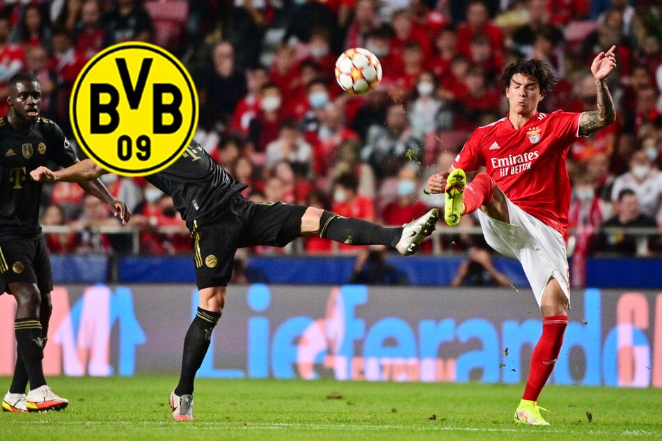 BVB jagt Champions-League-Torjäger! Krallt sich Dortmund einen Nationalstürmer?