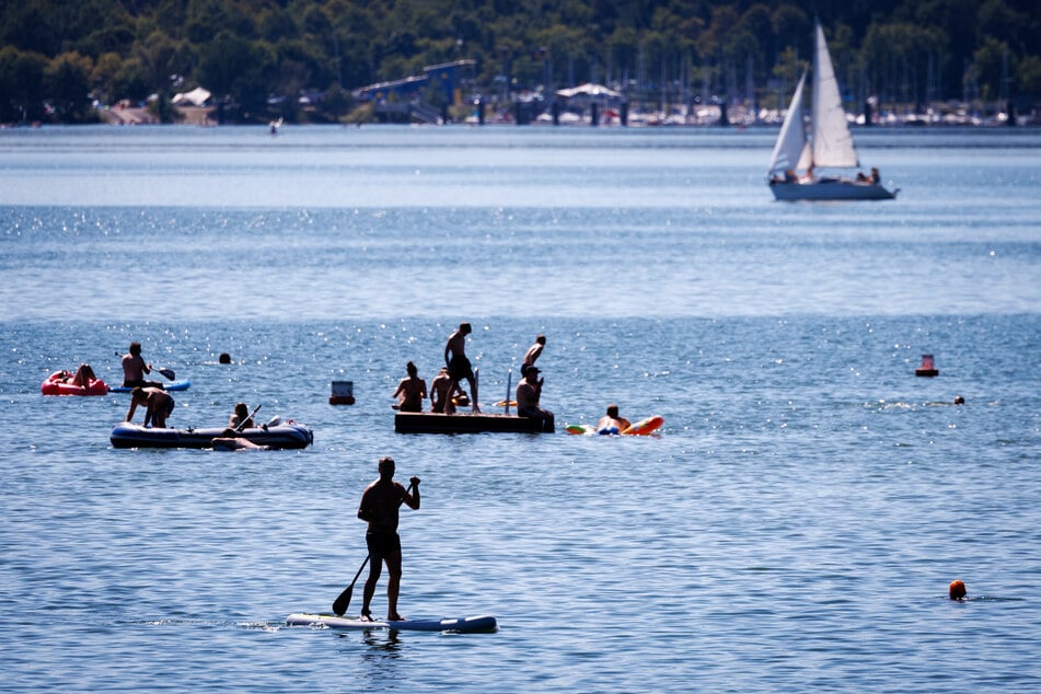 Badegäste im Brombachsee wurden von einem Wels angegriffen. War ihre Sicherheit in Gefahr?