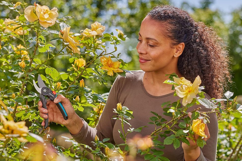 Gartengeräte von Gardena: Rabatteschlacht bei Amazon