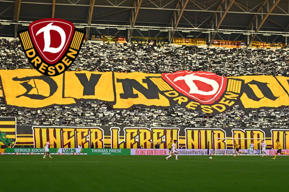 Nur Dortmund schneidet besser ab! Dynamo-Wohnzimmer auf Rang 2 in Deutschland