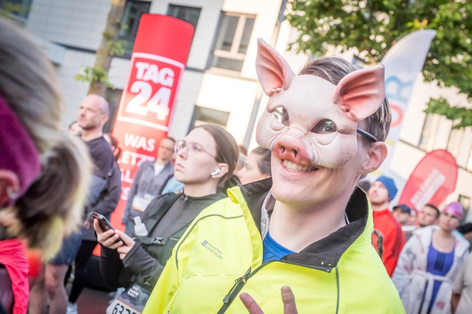 Oink oink!