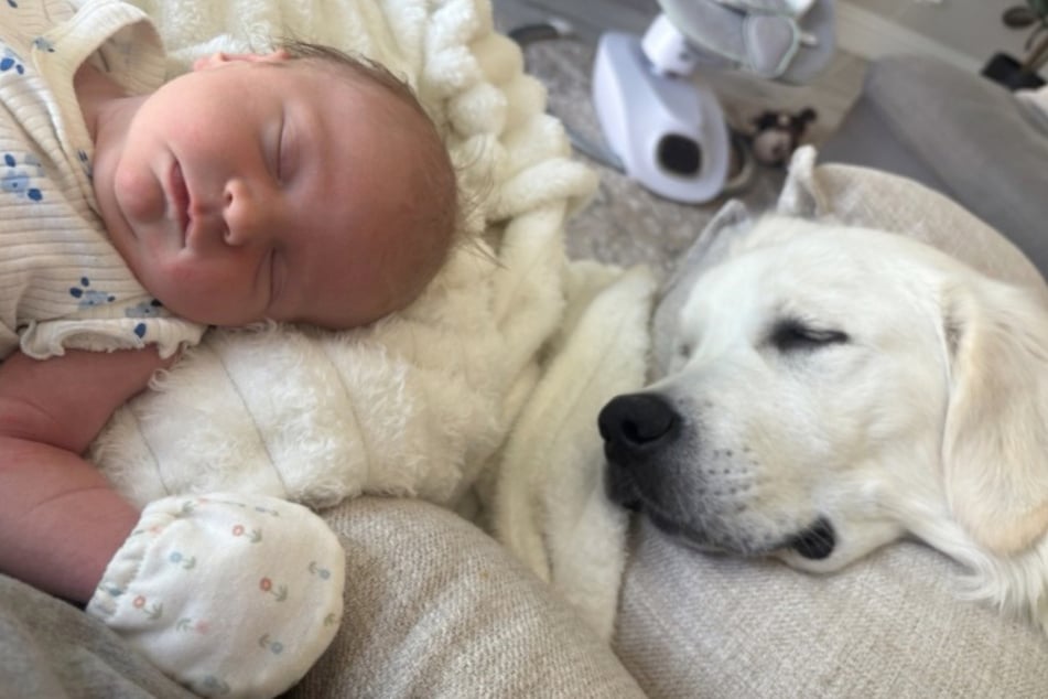 Die beste Variante für Hund und Mädchen: Sie schlafen einfach beide.