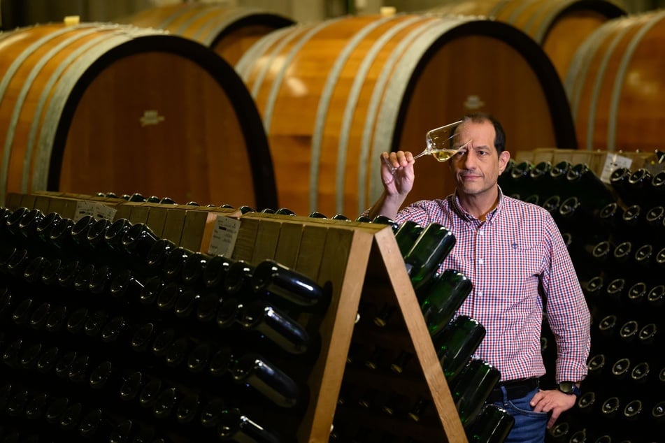 Kellermeister Jürgen Aumüller (51) erklärt die Schwierigkeiten bei der Produktion von alkoholfreiem Wein.