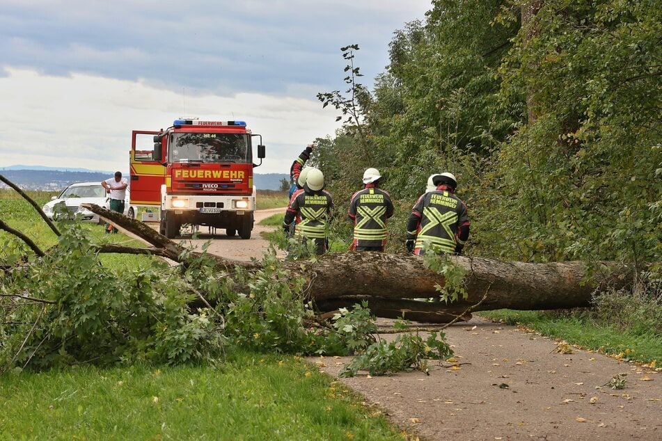 Umgefallene Bäume versperrten mehrere Straßen.