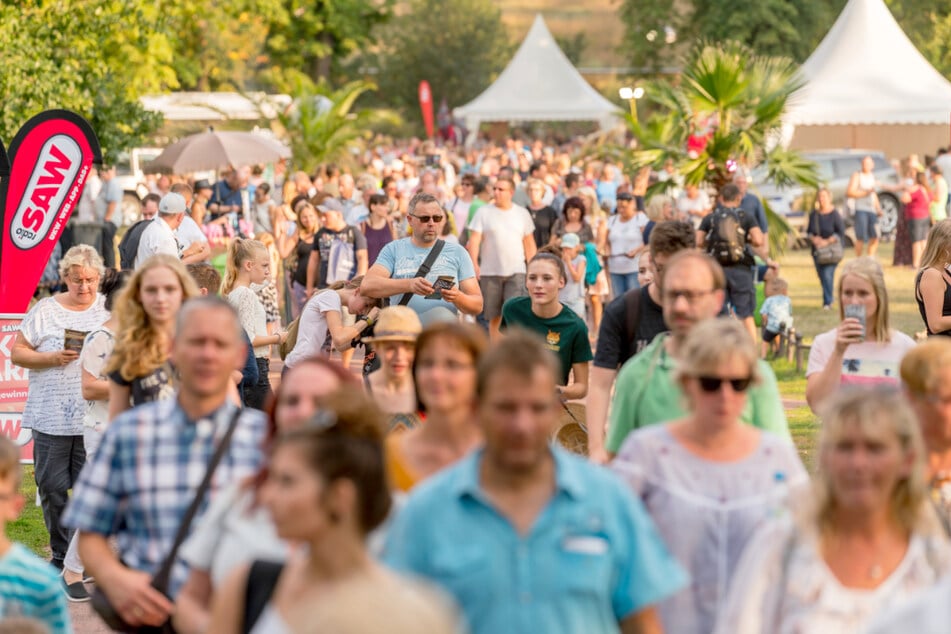 Im Magdeburger Zoo steigt am 23. August eine große Party
