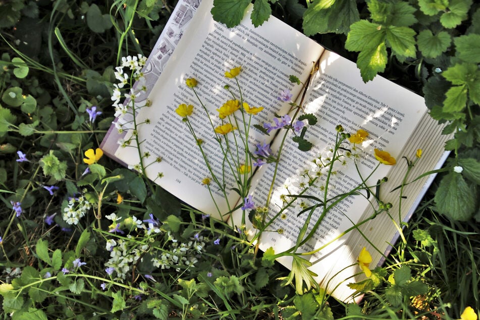 Nichts ist schöner als sich in der Welt der Bücher zu verlieren. (Symbolbild)