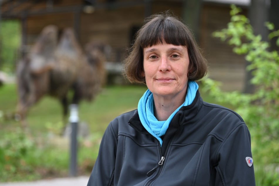 Tierpark-Chefin Anja Dube (55) gibt ihren Posten auf.