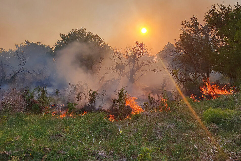 Wildfires in Texas and New Mexico have been tricky to fight because of high winds and super-dry conditions.