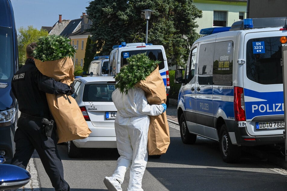 Die Polizei brachte säckeweise Grünpflanzen aus dem Gebäude.