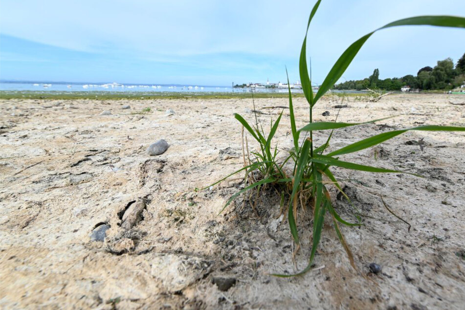 Erneut Dürrejahr? Grundwasser im Südwesten auf Tiefstand