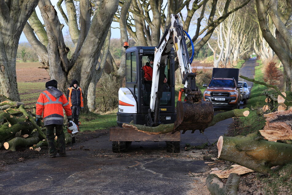 Mehrere Bäume von The Dark Hedges in Nordirland, die durch die Fernsehserie "Game of Thrones" berühmt wurden, wurden durch Sturm beschädigt.