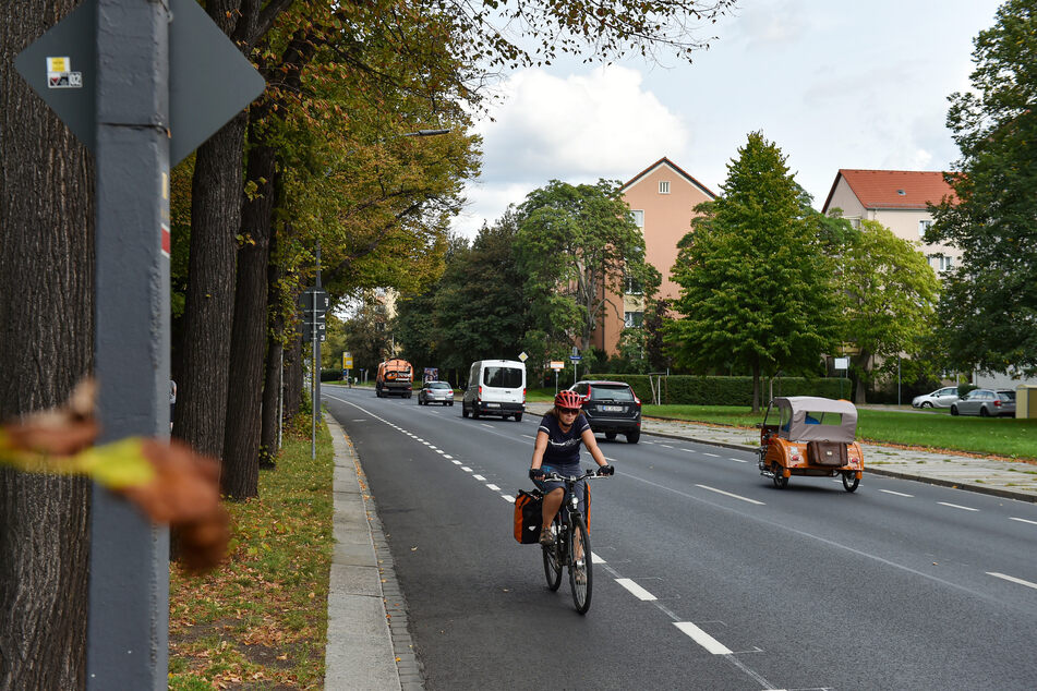 Der Radschutzstreifen zwischen Carola- und Albertbrücke war Donnerstag bereits fertig.