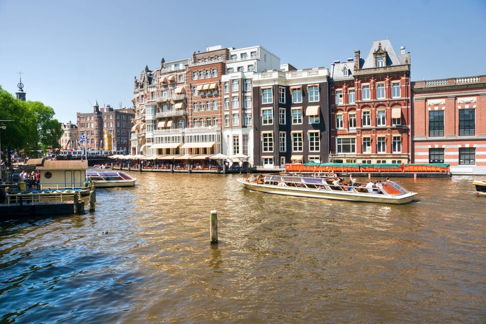 "Lucky" brach vor drei Jahren auf offener Straße in Amsterdam zusammen. (Symbolfoto)
