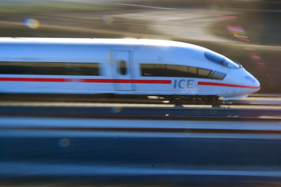 Ein Zusammenstoß mit einem ICE endet für Mensch oder Tier fast immer tödlich.