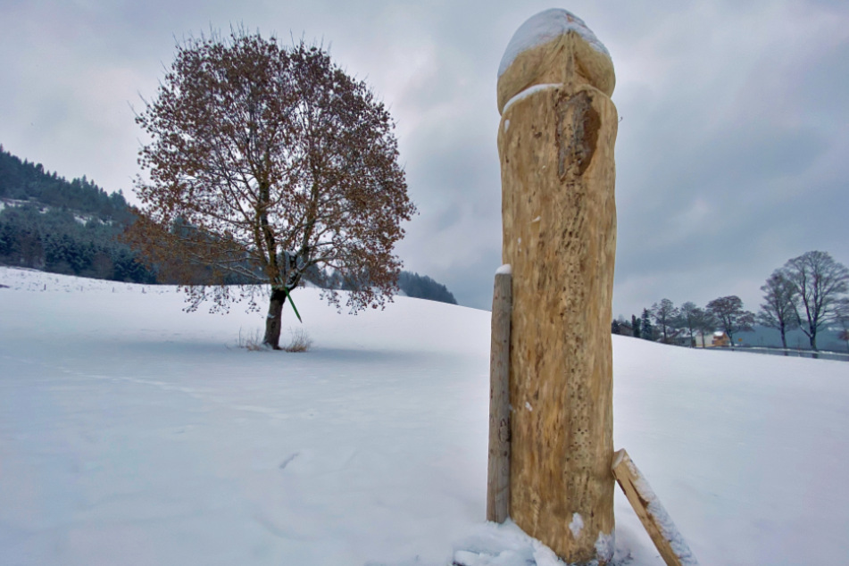 Schon wieder ein Holzpenis im Allgäu: Wer die Skulptur aufgestellt hat, war nach Angaben der Polizei zunächst unklar.