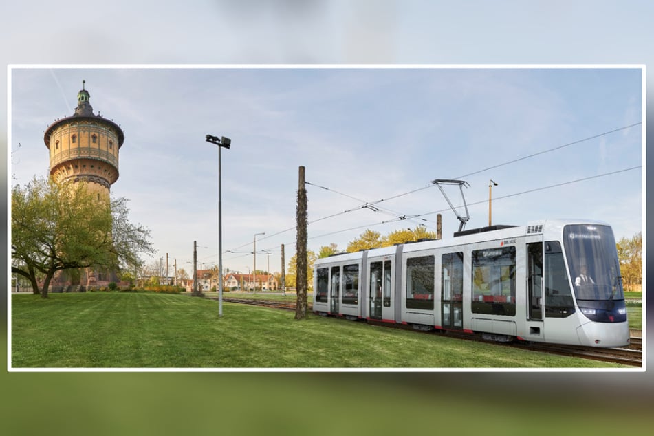 Ab Ende 2025 sollen die neuen Straßenbahnen des Typs TINA in Halle unterwegs sein.
