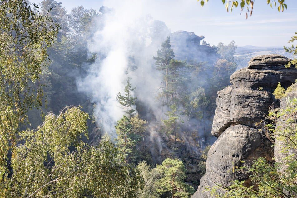 Ein Waldbrand am Pfaffenstein löste am Wochenende einen Großeinsatz aus.