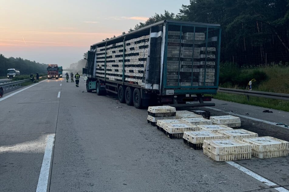 Unfall A2: Heftiger Unfall mit Tiertransport: Zwei verletzte Fahrer und zehn tote Enten auf A2!