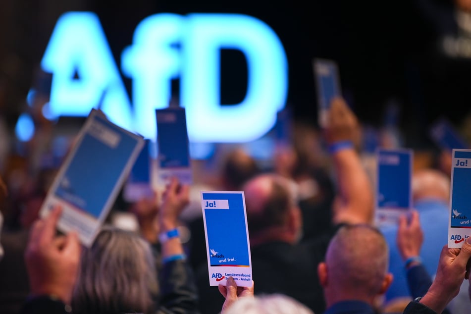 Die AfD ist bislang in vier Bundesländern erwiesen rechtsextrem. (Symbolfoto)