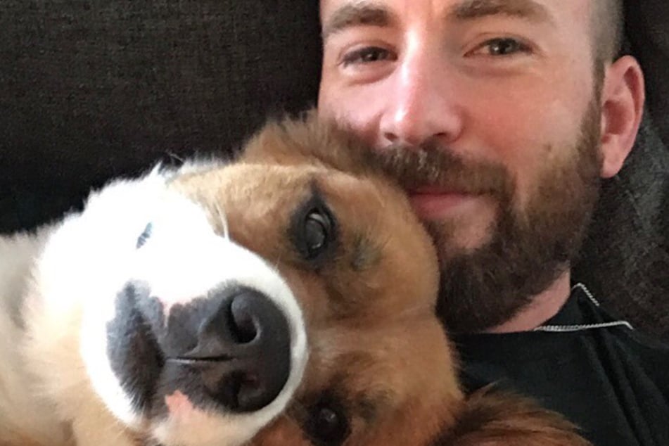 Chris Evans (39) sorgte am Samstag mit einem unfreiwilligem Dick-Pic für Furore.