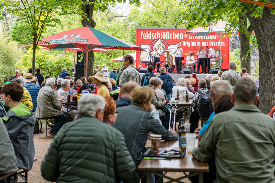 Dresden: Musik im Dresdner Zoo: Das Dixieland-Festival startet wieder!