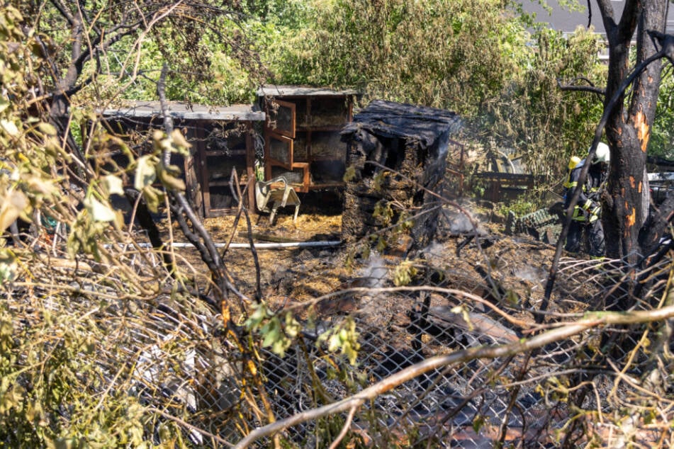 Bei dem Brand wurden mehrere Ställe vernichtet, zahlreiche Tiere starben.