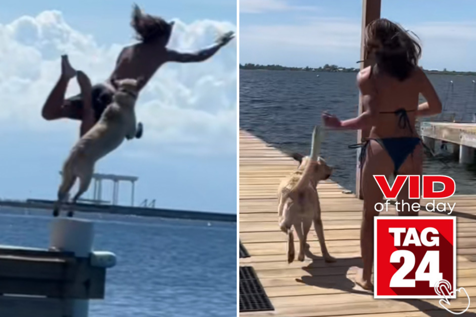 A dog on TikTok named Honey (pictured) loves taking a dive into the ocean with her human friends!