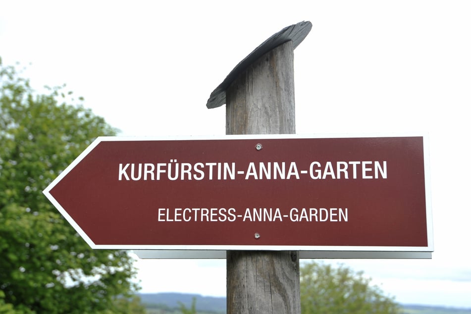 Der von der Stadt angelegte Garten soll mit Kunst ergänzt werden.