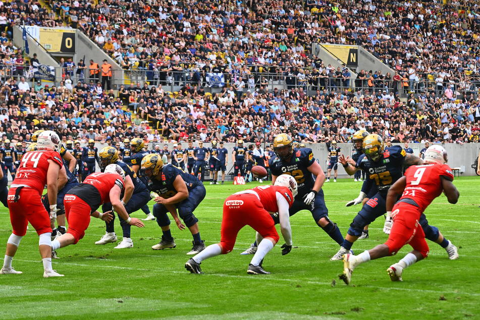 Spiele gegen Braunschweig sind immer ein Höhepunkt für die Dresden Monarchs.