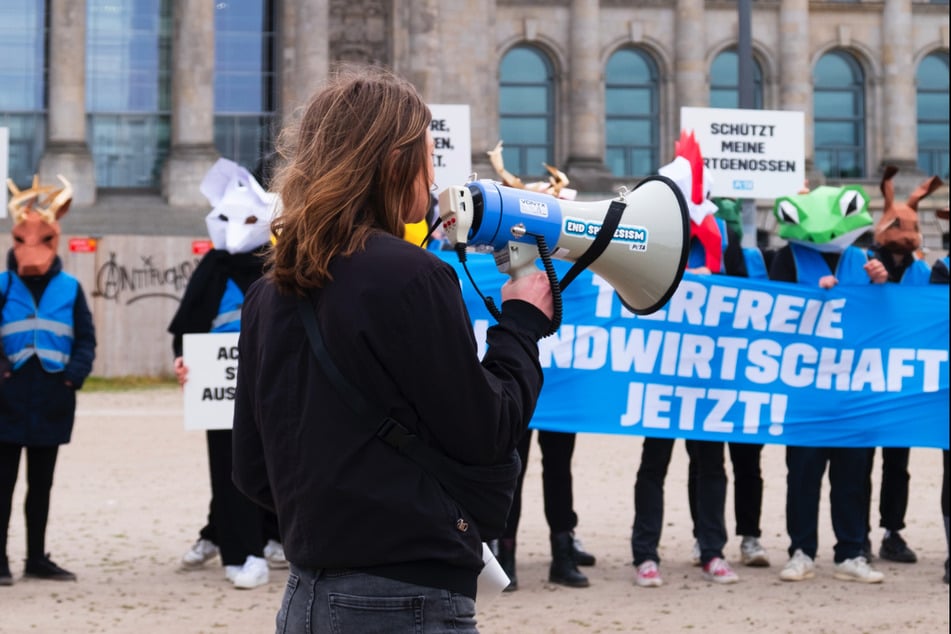 Vor dem Bundestag wollen die Tierschützer, das Leid von Tieren mit einem Plan beenden.