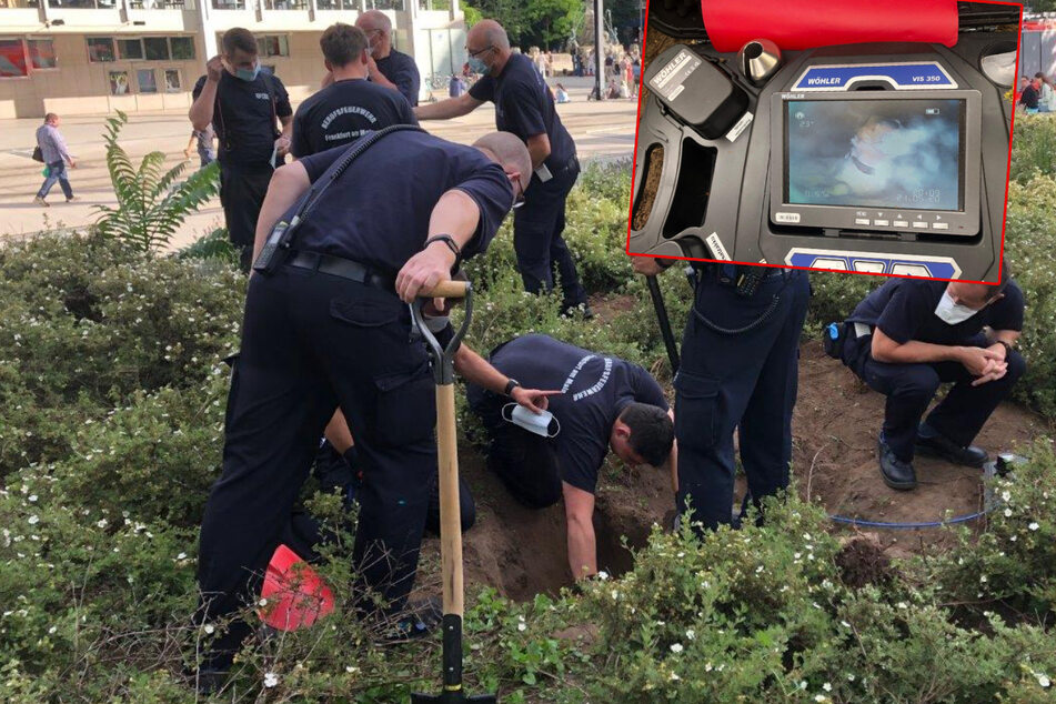 Fotomontage: Insgesamt 15 Feuerwehrmänner beteiligten sich an der Suche nach dem steckengebliebenen Chihuahua-Weibchen.